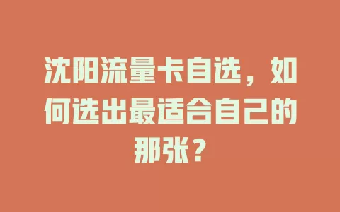 沈阳流量卡自选，如何选出最适合自己的那张？