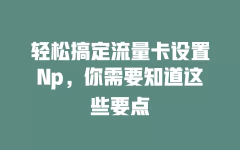 轻松搞定流量卡设置Np，你需要知道这些要点