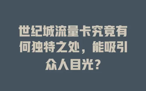 世纪城流量卡究竟有何独特之处，能吸引众人目光？