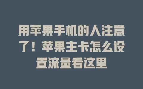 用苹果手机的人注意了！苹果主卡怎么设置流量看这里