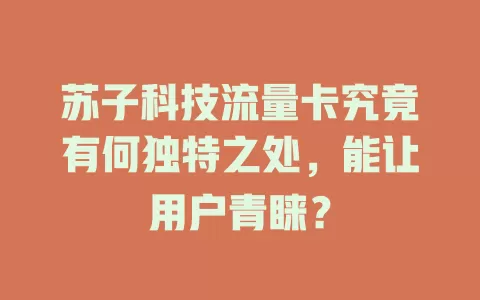 苏子科技流量卡究竟有何独特之处，能让用户青睐？