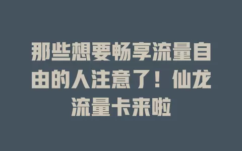 那些想要畅享流量自由的人注意了！仙龙流量卡来啦