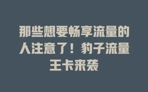 那些想要畅享流量的人注意了！豹子流量王卡来袭