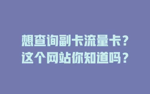 想查询副卡流量卡？这个网站你知道吗？