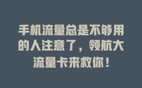手机流量总是不够用的人注意了，领航大流量卡来救你！