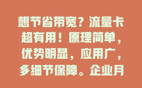 想节省带宽？流量卡超有用！原理简单，优势明显，应用广，多细节保障。企业月省30%网络费，个人看高清不卡，远程办公、物联网都受益！