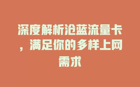 深度解析沧蓝流量卡，满足你的多样上网需求