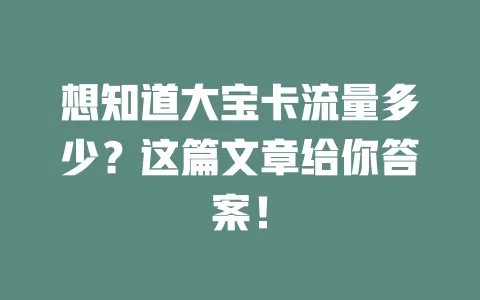 想知道大宝卡流量多少？这篇文章给你答案！