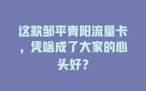 这款邹平青阳流量卡，凭啥成了大家的心头好？