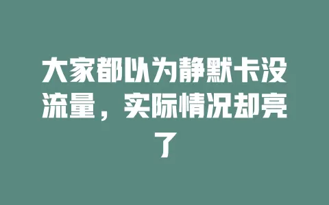 大家都以为静默卡没流量，实际情况却亮了