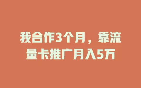 我合作3个月,靠流量卡推广月入5万
