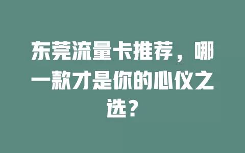 东莞流量卡推荐，哪一款才是你的心仪之选？