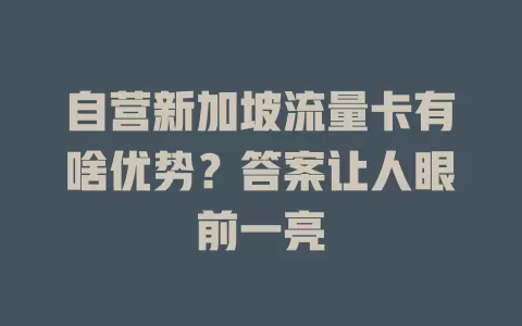 自营新加坡流量卡有啥优势？答案让人眼前一亮