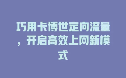 巧用卡博世定向流量，开启高效上网新模式