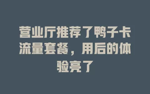 营业厅推荐了鸭子卡流量套餐，用后的体验亮了