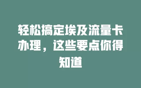 轻松搞定埃及流量卡办理，这些要点你得知道