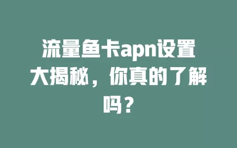 流量鱼卡apn设置大揭秘，你真的了解吗？