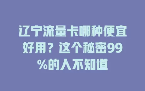 辽宁流量卡哪种便宜好用？这个秘密99%的人不知道
