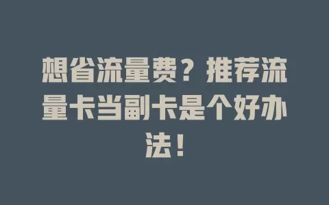 想省流量费？推荐流量卡当副卡是个好办法！