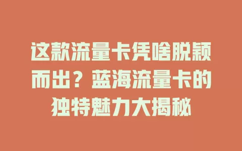 这款流量卡凭啥脱颖而出？蓝海流量卡的独特魅力大揭秘