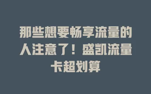 那些想要畅享流量的人注意了！盛凯流量卡超划算