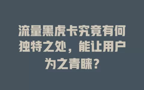 流量黑虎卡究竟有何独特之处，能让用户为之青睐？