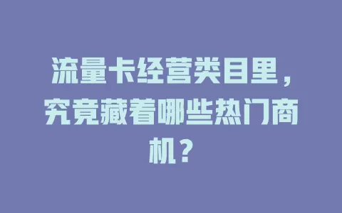 流量卡经营类目里，究竟藏着哪些热门商机？