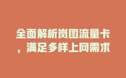 全面解析岚图流量卡，满足多样上网需求