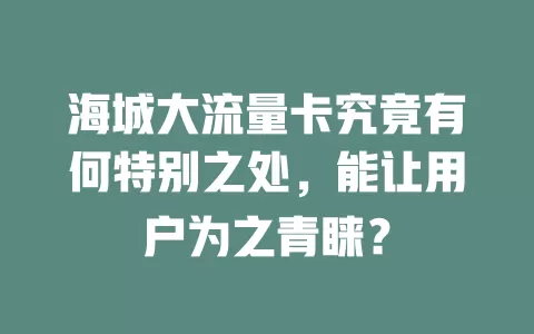 海城大流量卡究竟有何特别之处，能让用户为之青睐？