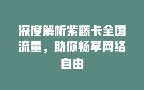 深度解析紫藤卡全国流量，助你畅享网络自由