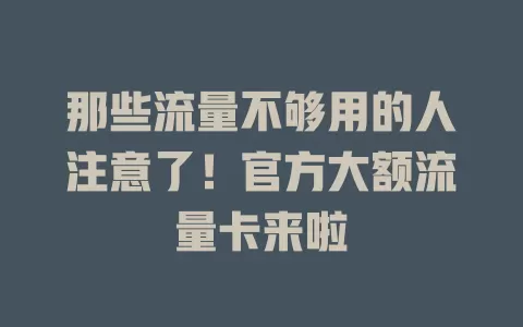 那些流量不够用的人注意了！官方大额流量卡来啦