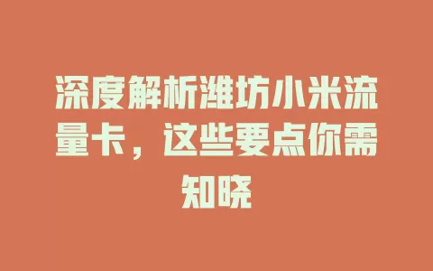 深度解析潍坊小米流量卡,这些要点你需知晓