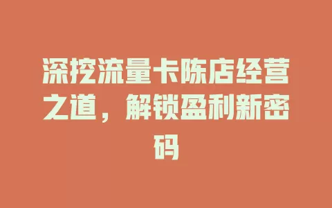 深挖流量卡陈店经营之道，解锁盈利新密码