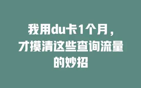 我用du卡1个月，才摸清这些查询流量的妙招