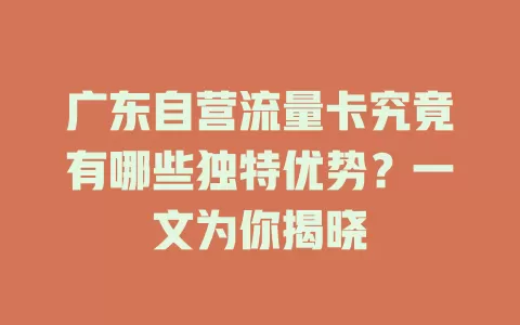 广东自营流量卡究竟有哪些独特优势？一文为你揭晓