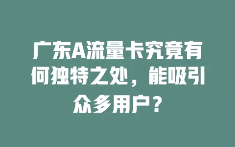 广东A流量卡究竟有何独特之处，能吸引众多用户？