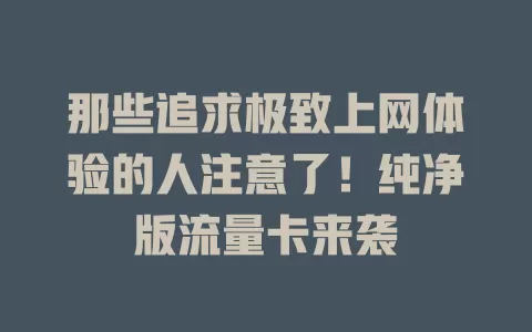 那些追求极致上网体验的人注意了！纯净版流量卡来袭