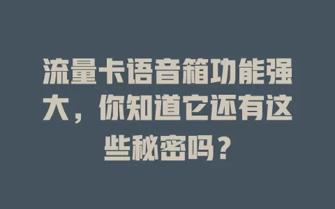 流量卡语音箱功能强大，你知道它还有这些秘密吗？