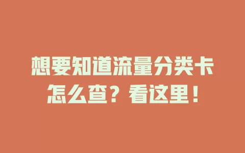 想要知道流量分类卡怎么查？看这里！