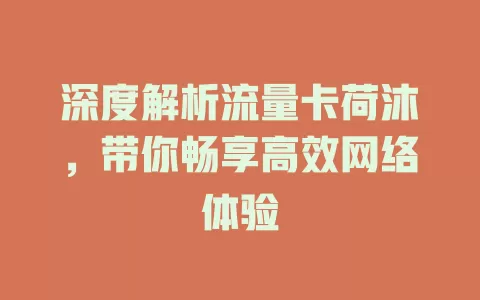 深度解析流量卡荷沐，带你畅享高效网络体验