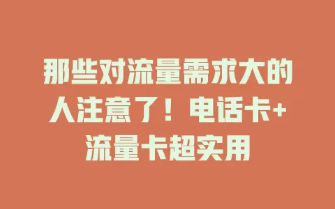 那些对流量需求大的人注意了！电话卡+流量卡超实用