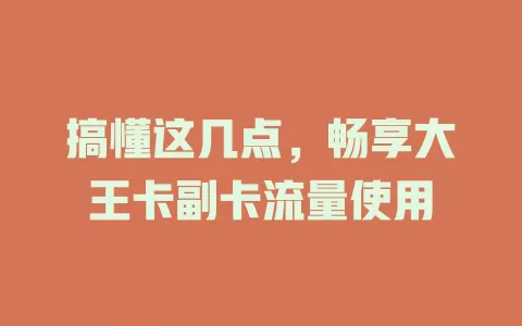搞懂这几点，畅享大王卡副卡流量使用