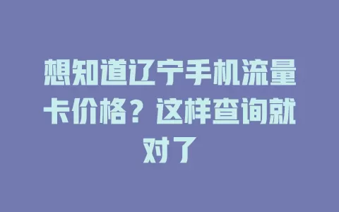 想知道辽宁手机流量卡价格？这样查询就对了