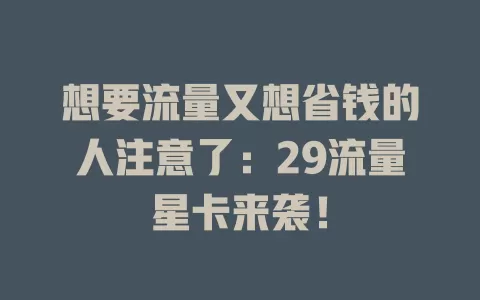 想要流量又想省钱的人注意了：29流量星卡来袭！