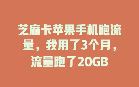 芝麻卡苹果手机跑流量，我用了3个月，流量跑了20GB