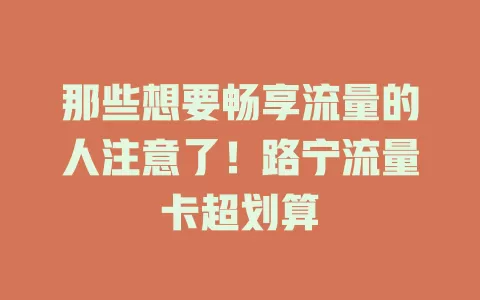 那些想要畅享流量的人注意了！路宁流量卡超划算