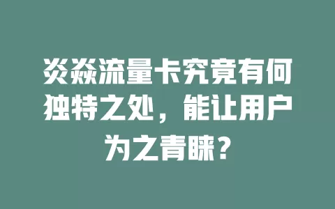 炎焱流量卡究竟有何独特之处，能让用户为之青睐？
