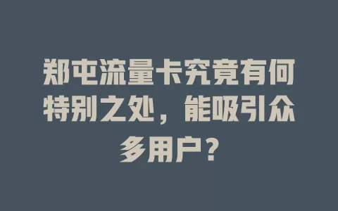 郑屯流量卡究竟有何特别之处，能吸引众多用户？