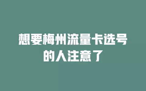 想要梅州流量卡选号的人注意了