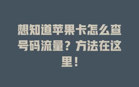 想知道苹果卡怎么查号码流量？方法在这里！